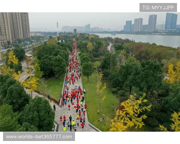 EMC全站体育为体育迷提供专业的赛事分析与精彩瞬间集锦服务